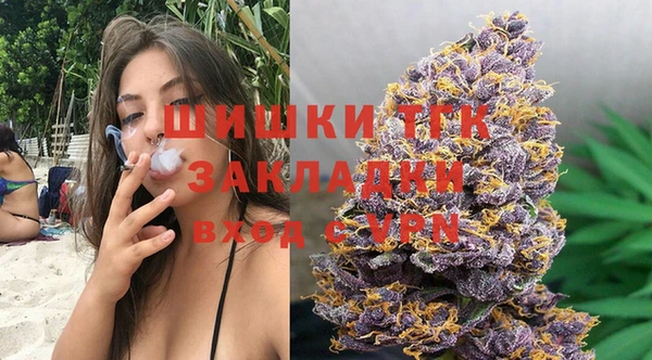 винт Алзамай