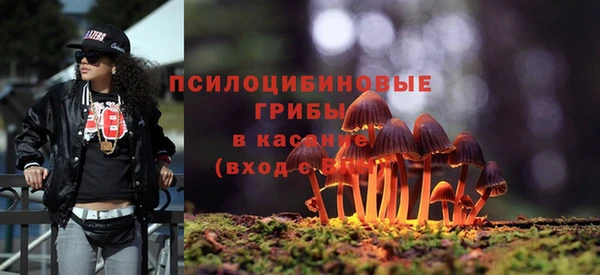 винт Алзамай