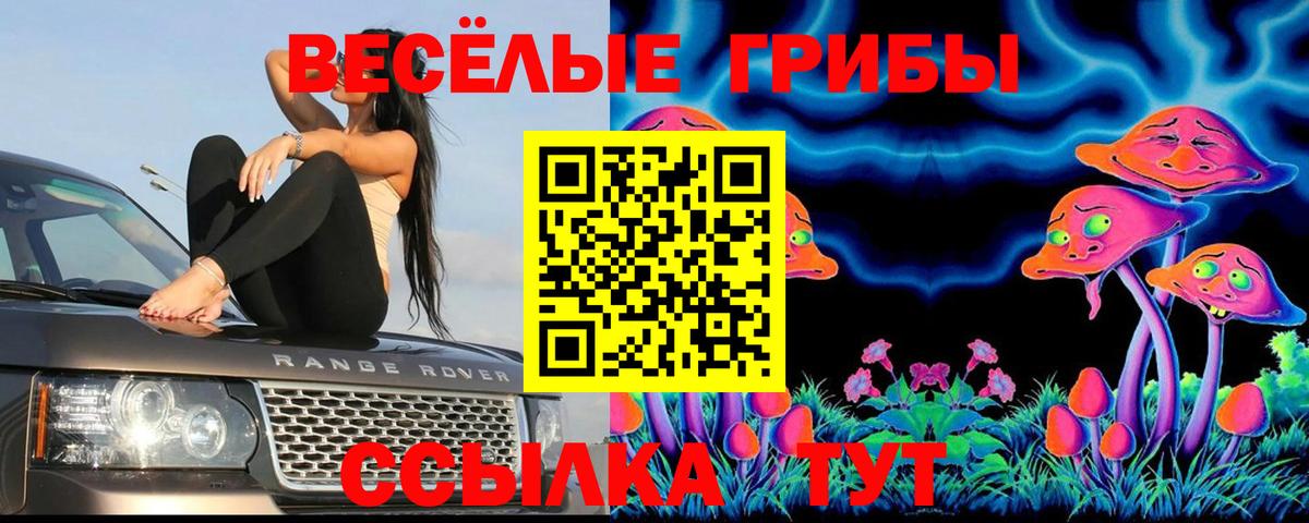 Галлюциногенные грибы Psilocybe Ялта